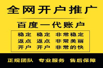 SEM推广案例：电商流量提升策略