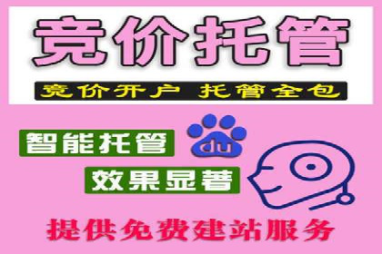 充值高返点案例：新手如何快速上手